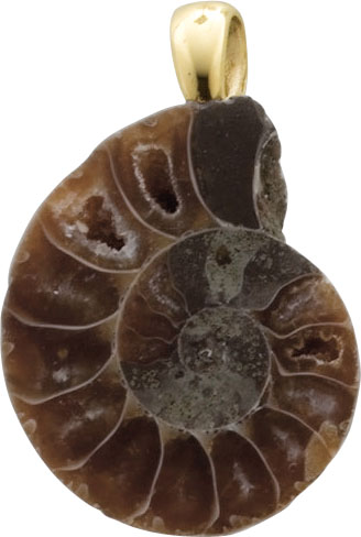 Anhänger aus einem natürlichen Ammoniten (versteinerte Urzeit-Schnecke) mit schöner Struktur und kleinen Kristalldrusen, in Gelbgold 333/-. Sehr feine Goldschmiedearbeit. Durchmesser: 27,4mm. Die Länge der Uhzeit-Schnecke liegt bei ca. 40mm, die Breite be