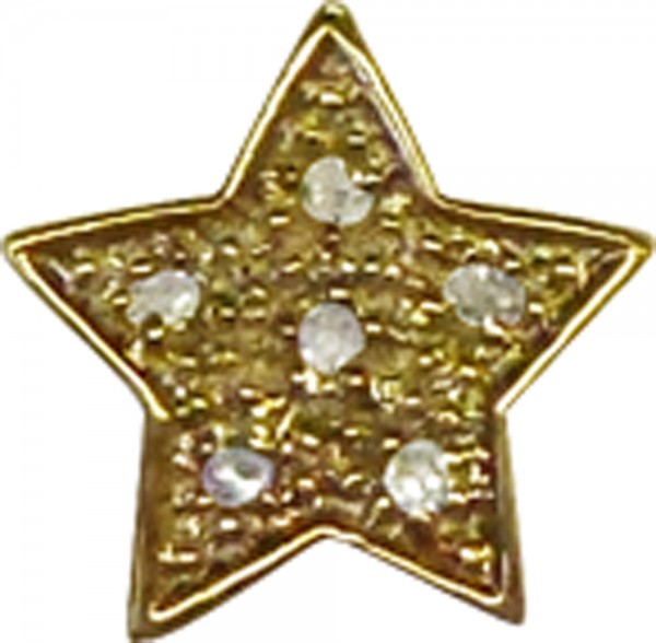 Sternanhänger in Gelbgold333/-, mit 6 Dia.0,10ct8/8, W/P, Länge 12mm,LG 3mm, poliert