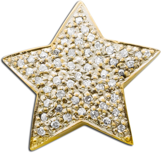 Anhänger – Sternanhänger Gelbgold Weißgold 585 Diamanten 55 8/8 W/P je 0,005ct